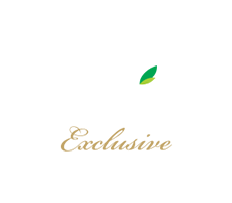 Romina Exclusive
